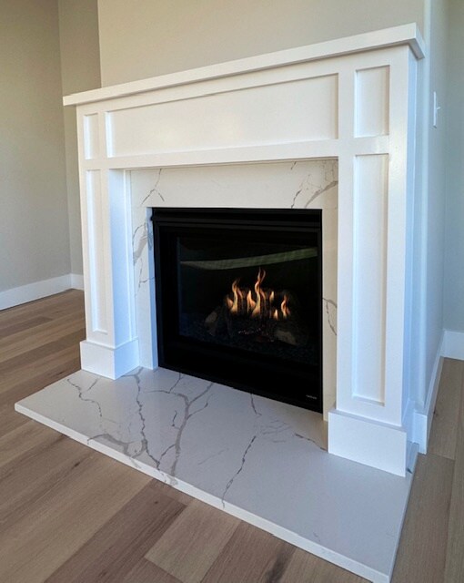 details featuring a premium fireplace and hardwood / wood-style flooring