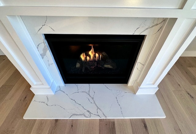 details with a high end fireplace and wood-type flooring