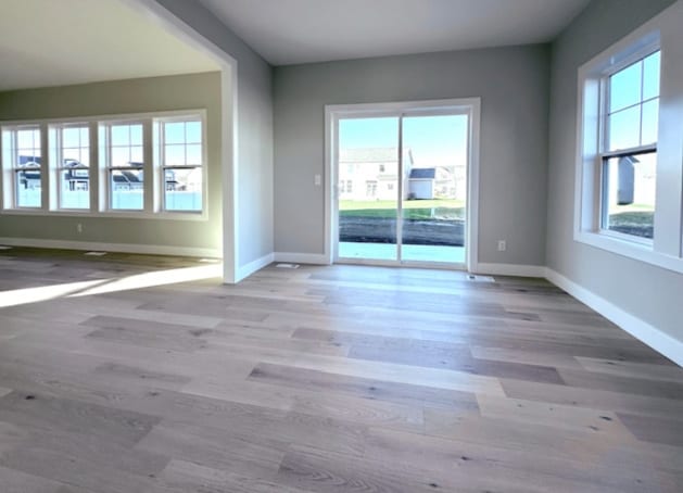 empty room with plenty of natural light and light hardwood / wood-style flooring