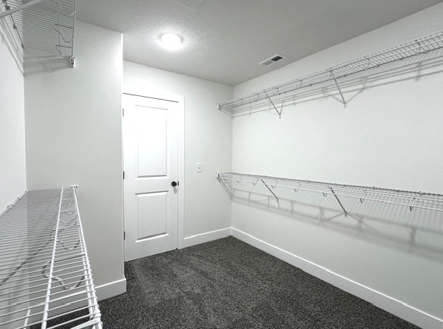 walk in closet with dark colored carpet