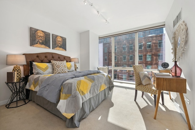 bedroom featuring light colored carpet and rail lighting