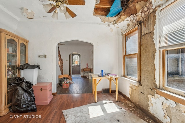 miscellaneous room with plenty of natural light, ceiling fan, and dark hardwood / wood-style flooring