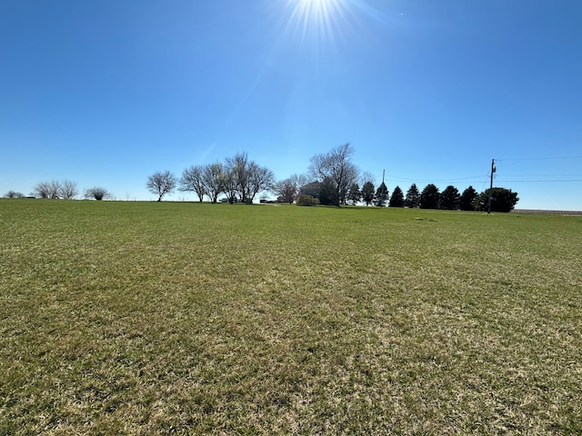 view of yard featuring a rural view