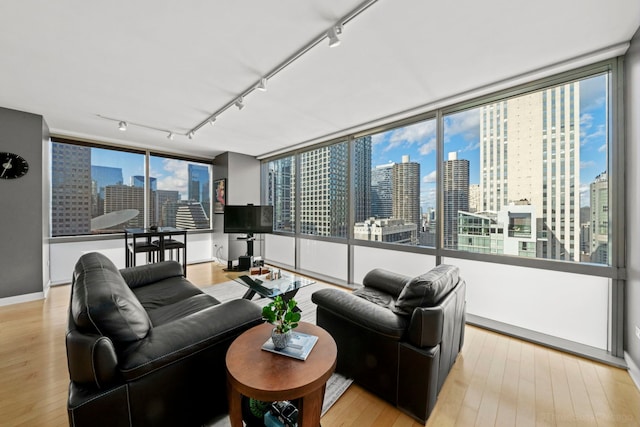 living room with rail lighting, light hardwood / wood-style flooring, and expansive windows