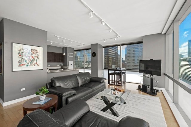 living room with light wood-type flooring, track lighting, and a wealth of natural light