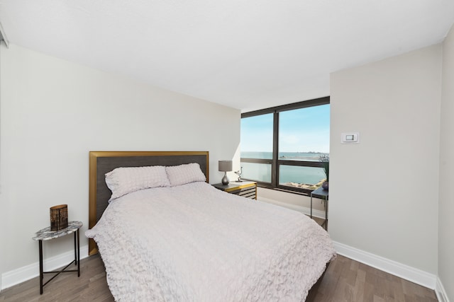 bedroom featuring dark hardwood / wood-style flooring, a water view, and a wall of windows