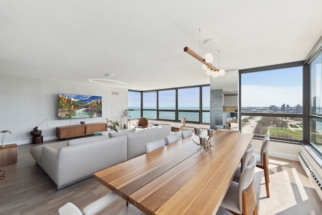 dining space featuring light hardwood / wood-style floors, a wealth of natural light, and a baseboard radiator