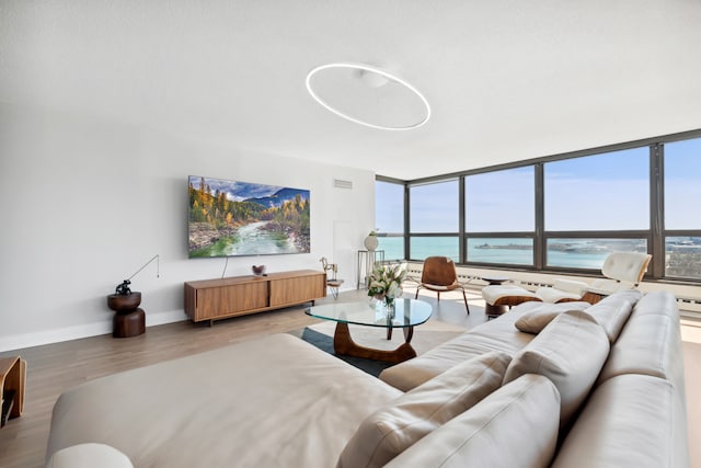 living room with hardwood / wood-style flooring