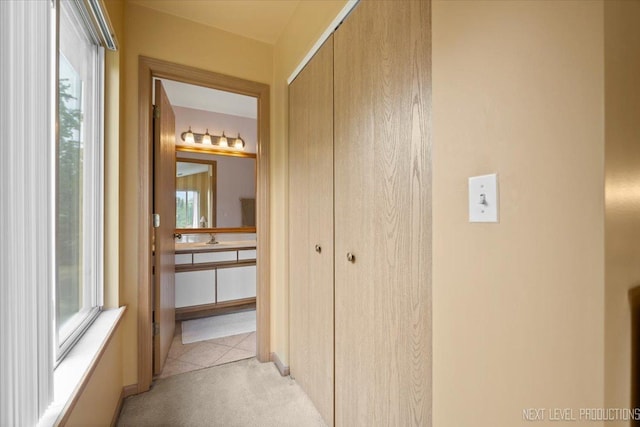 422 Rachel Cir, Romeoville, IL 60446 - hallway with light carpet and plenty of natural light