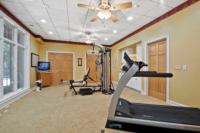 exercise area with carpet floors, ceiling fan, and a drop ceiling