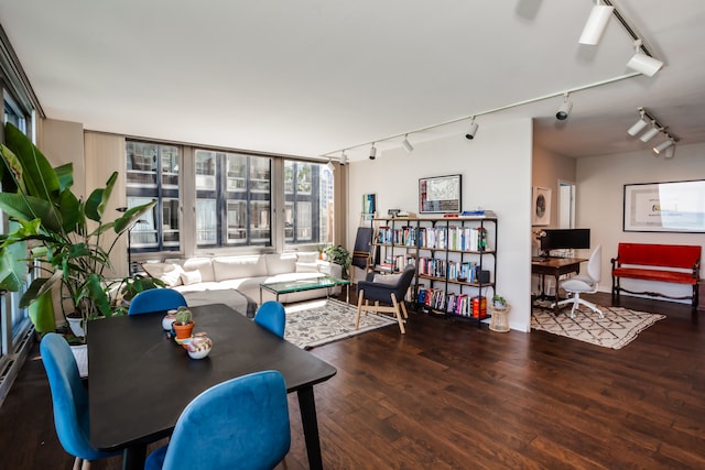 living room featuring expansive windows and dark hardwood / wood-style flooring