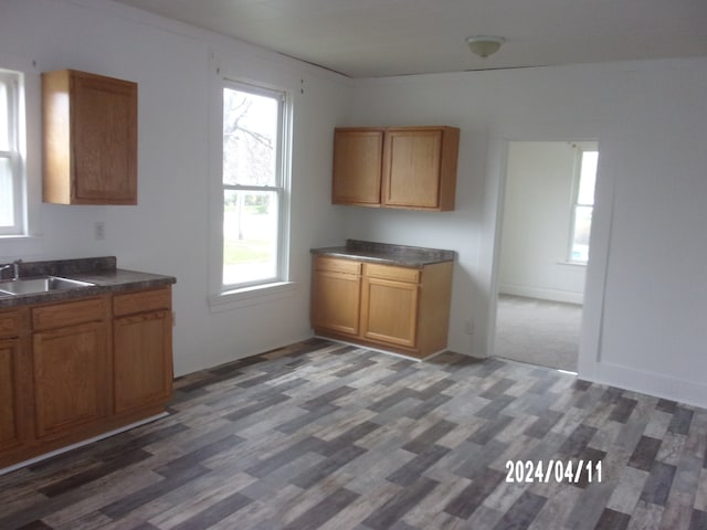 kitchen featuring dark hardwood / wood-style floors and sink