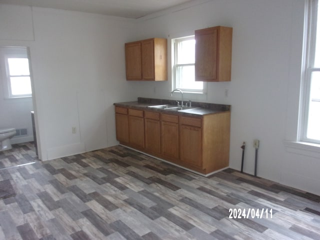 kitchen featuring sink and dark wood-type flooring