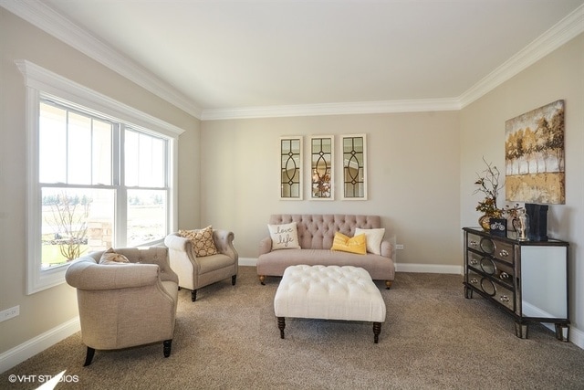 carpeted living room featuring crown molding