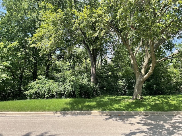 LOT4 Manchester Ave, Batavia, IL 60510 - photo 3