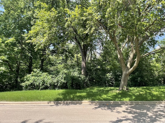 LOT4 Manchester Ave, Batavia, IL 60510 - photo 4