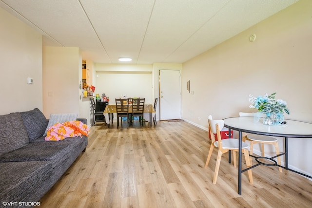 living room featuring light hardwood / wood-style floors