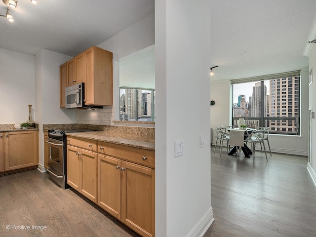 kitchen featuring light hardwood / wood-style flooring, stainless steel appliances, track lighting, tasteful backsplash, and light stone counters