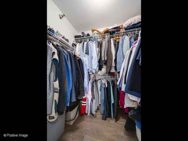 walk in closet with dark hardwood / wood-style floors