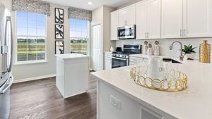 kitchen with appliances with stainless steel finishes, dark wood-type flooring, white cabinetry, and sink