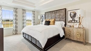 carpeted bedroom with crown molding and a raised ceiling