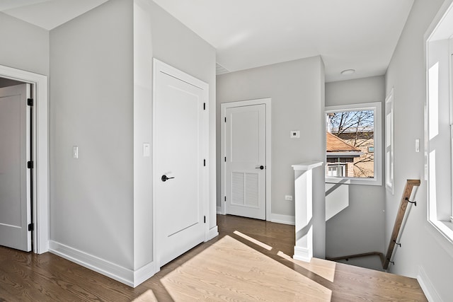 corridor with dark wood-type flooring