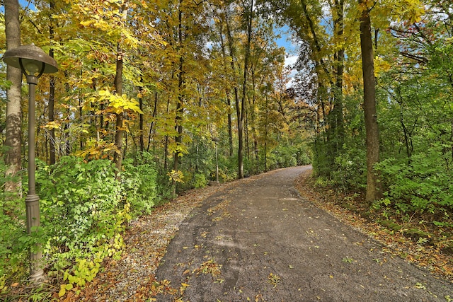 view of road