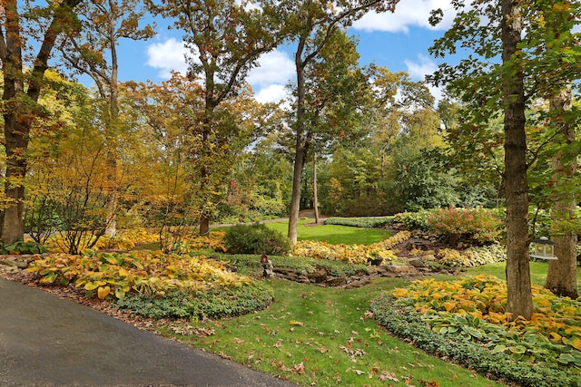 view of property's community featuring a lawn