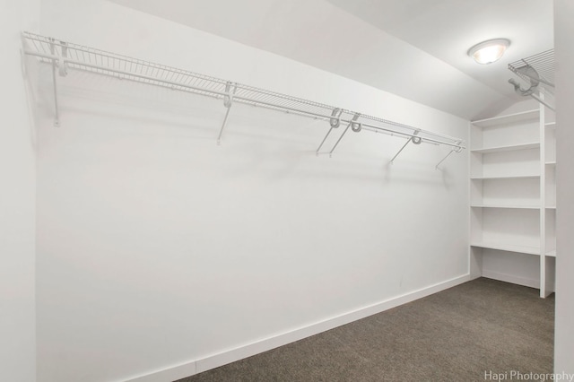 spacious closet with dark colored carpet