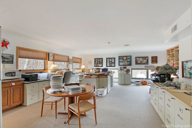 kitchen with plenty of natural light and light carpet