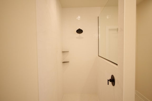 interior details with tiled shower