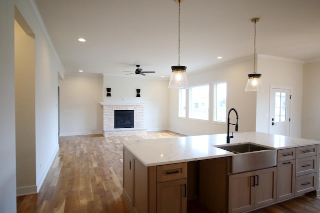 kitchen featuring a wealth of natural light, a ceiling fan, wood finished floors, and a sink