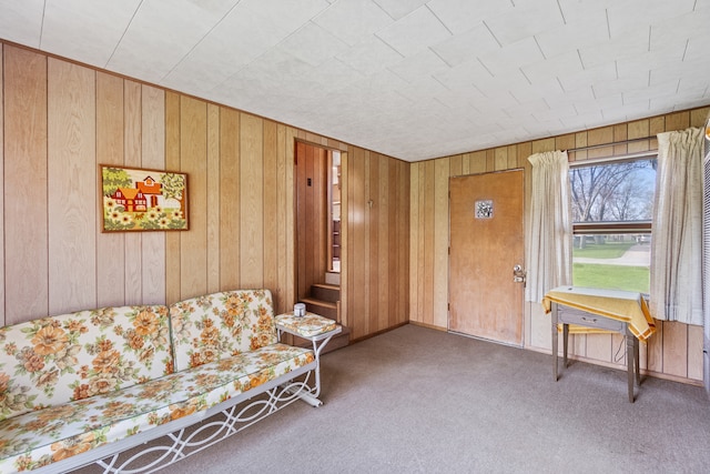 living area featuring dark carpet and wooden walls