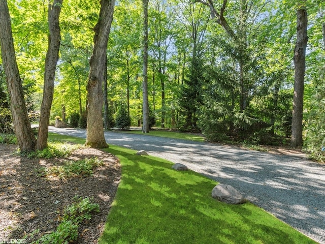 1130 Walden Ln, Lake Forest, IL 60045 - photo 42