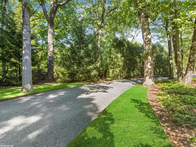 1130 Walden Ln, Lake Forest, IL 60045 - photo 43