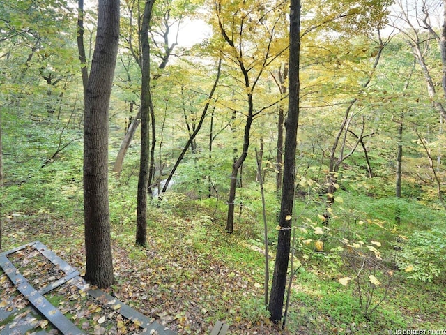 1130 Walden Ln, Lake Forest, IL 60045 - photo 50