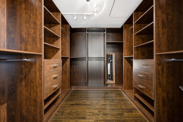 spacious closet with dark wood-type flooring