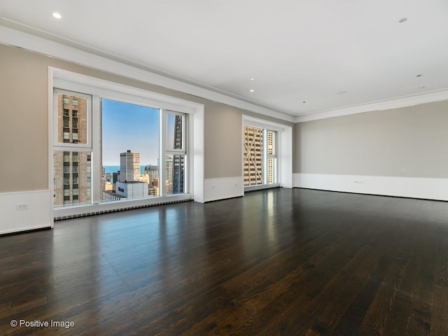 spare room with dark wood-type flooring, ornamental molding, and a healthy amount of sunlight