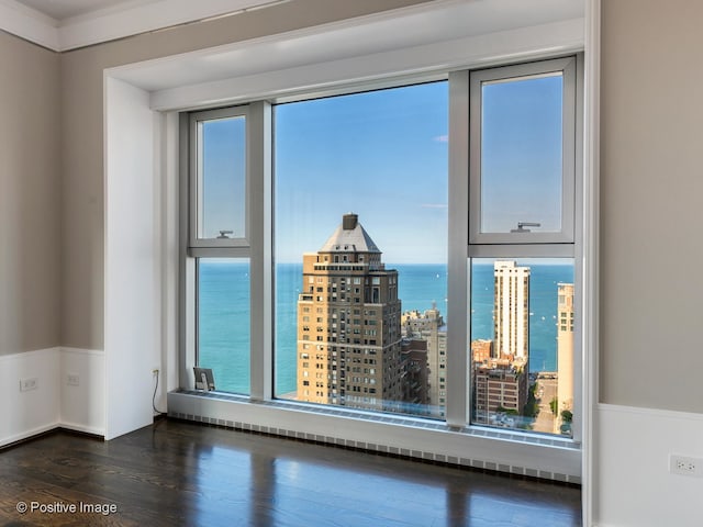 spare room with a water view and dark hardwood / wood-style floors