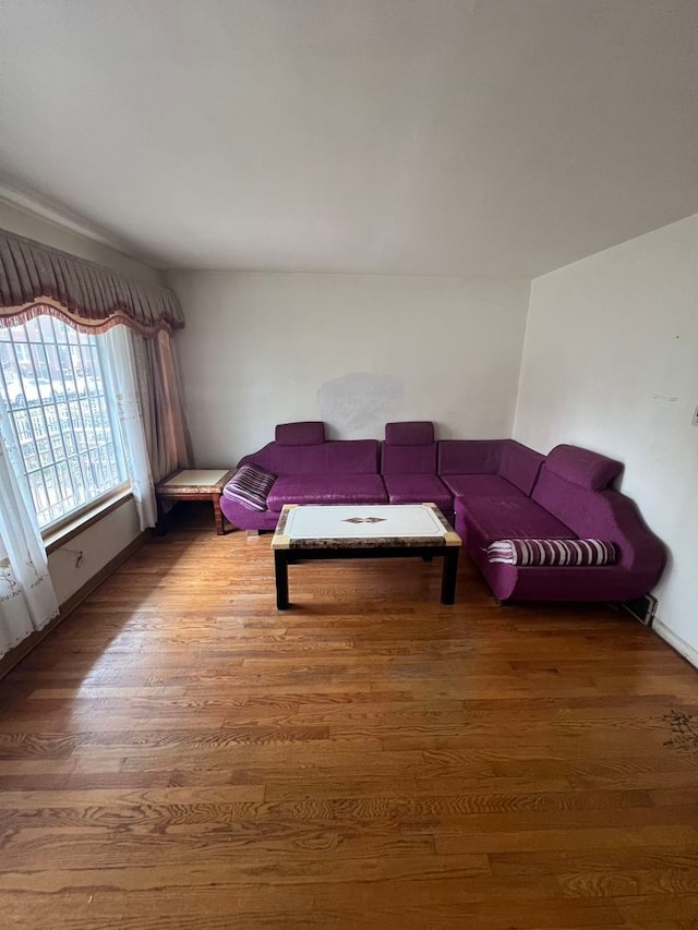 bedroom featuring dark hardwood / wood-style flooring