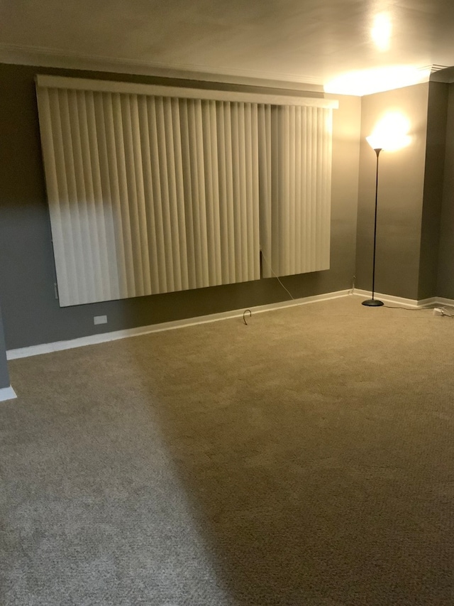 unfurnished room with carpet floors