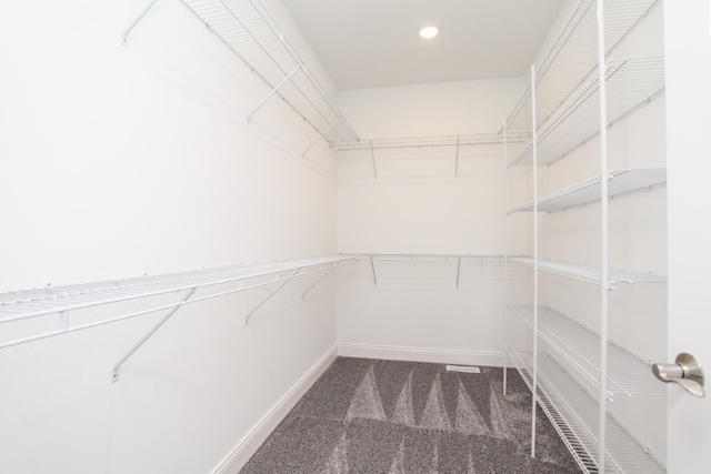 spacious closet featuring carpet floors