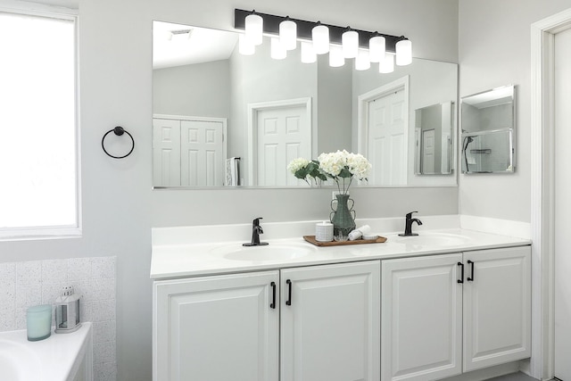 11 N Berkshire Ln, Round Lake, IL 60073 - bathroom featuring double vanity and a bath