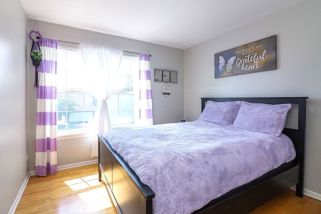 11 N Berkshire Ln, Round Lake, IL 60073 - bedroom featuring multiple windows and light wood-style flooring