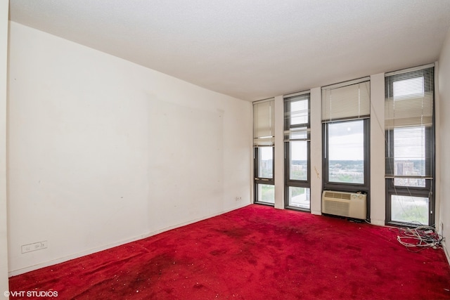 spare room featuring carpet floors