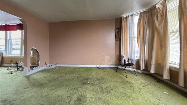 spare room with carpet flooring