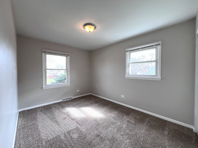 spare room featuring a wealth of natural light and carpet