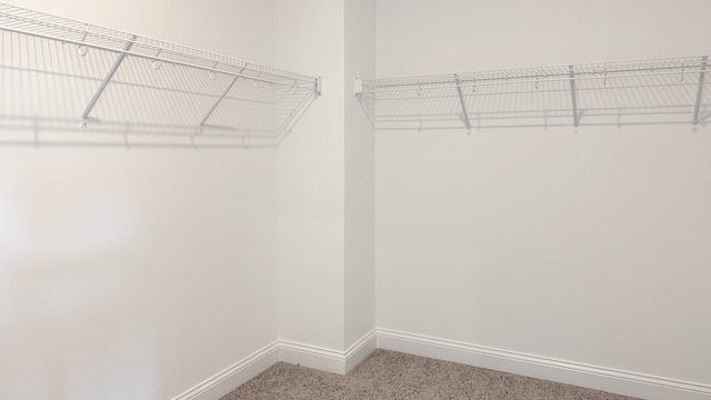 spacious closet with carpet flooring