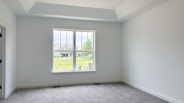 carpeted empty room featuring a raised ceiling, a wealth of natural light, and baseboards