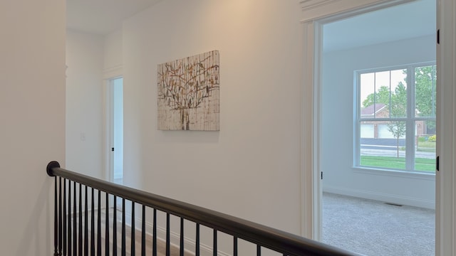 corridor featuring plenty of natural light, carpet, visible vents, and baseboards